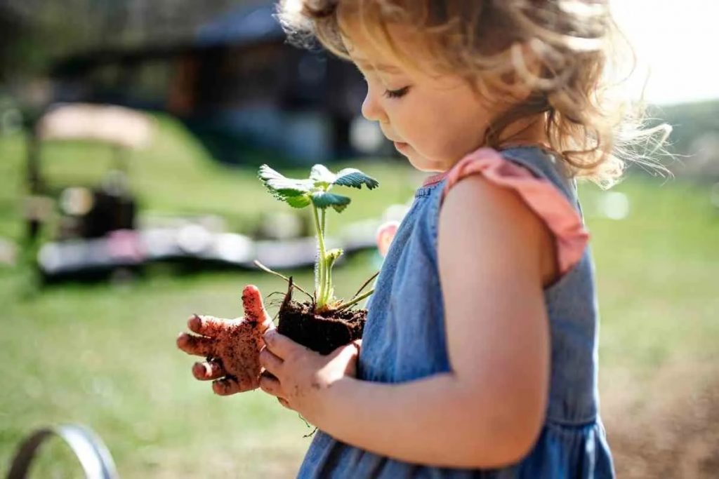 Ist Blumenerde Für Kinder Zum Spielen Geeignet?