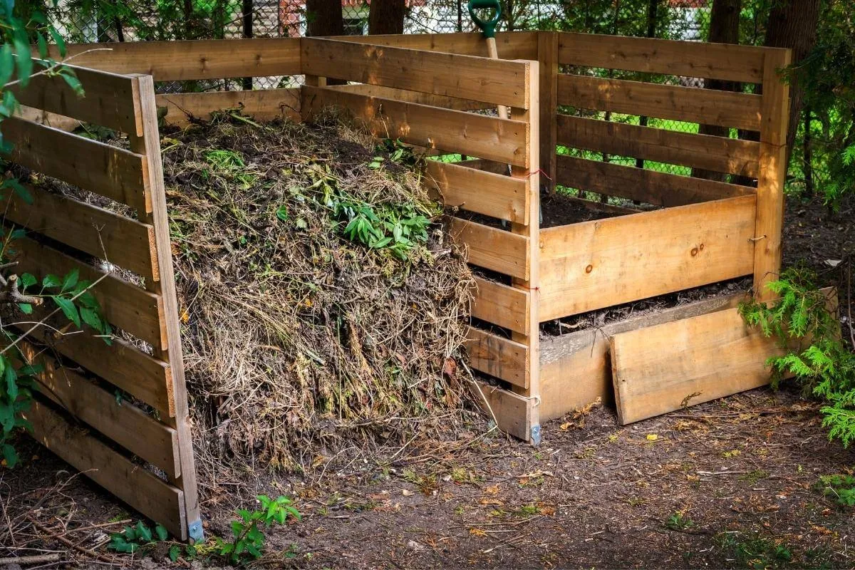 compost_gardening