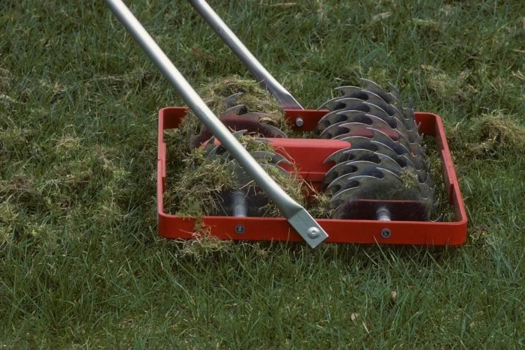 Wie man Rasen auf Lehmboden in 4 einfachen Schritten verbessert