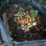 Ist Unfertiger Kompost Schlecht? Was Damit Zu Tun Ist!