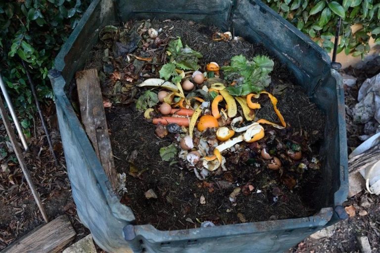Ist Unfertiger Kompost Schlecht? Was Damit Zu Tun Ist!