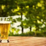 Ist Bier gut für Pflanzen? Warum sollte man sie mit Bier füttern?