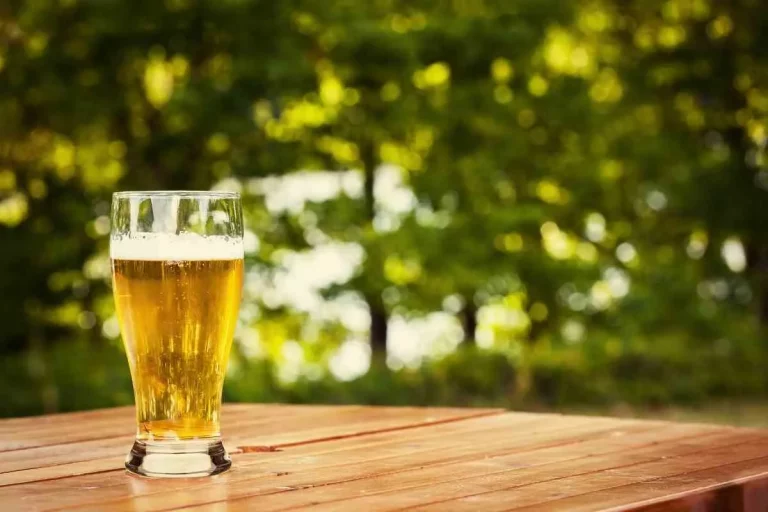 Ist Bier gut für Pflanzen? Warum sollte man sie mit Bier füttern?
