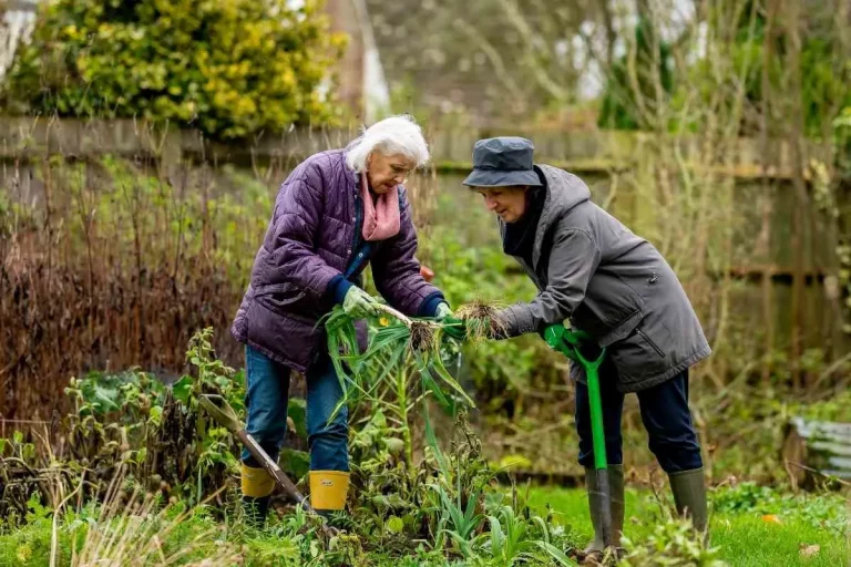 Mehr Spaß an der Gartenarbeit lernen