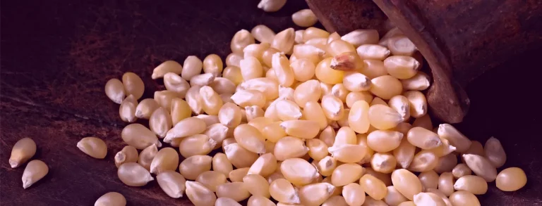 Was ist hüllenloses Popcorn?