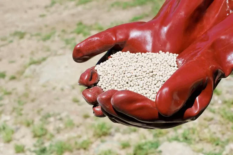 Wie viel Kaliumnitrat pro Liter Wasser: Der endgültige Leitfaden