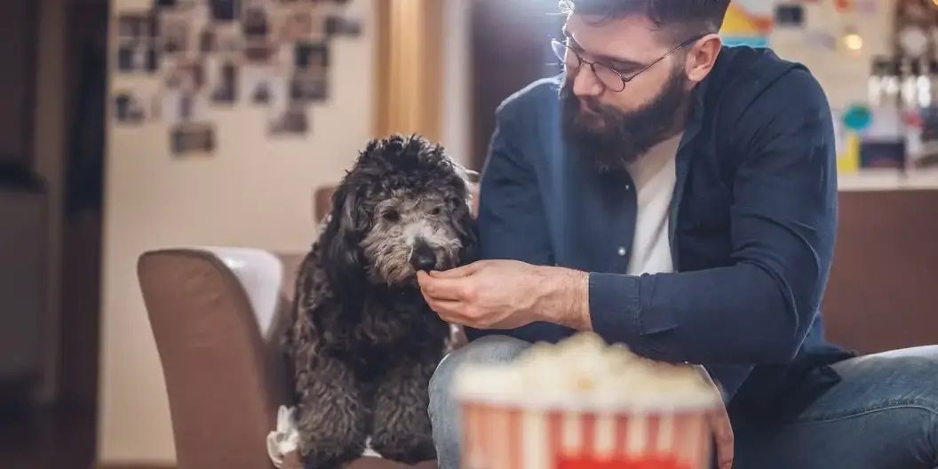 Ist Popcorn schlecht für Hunde?