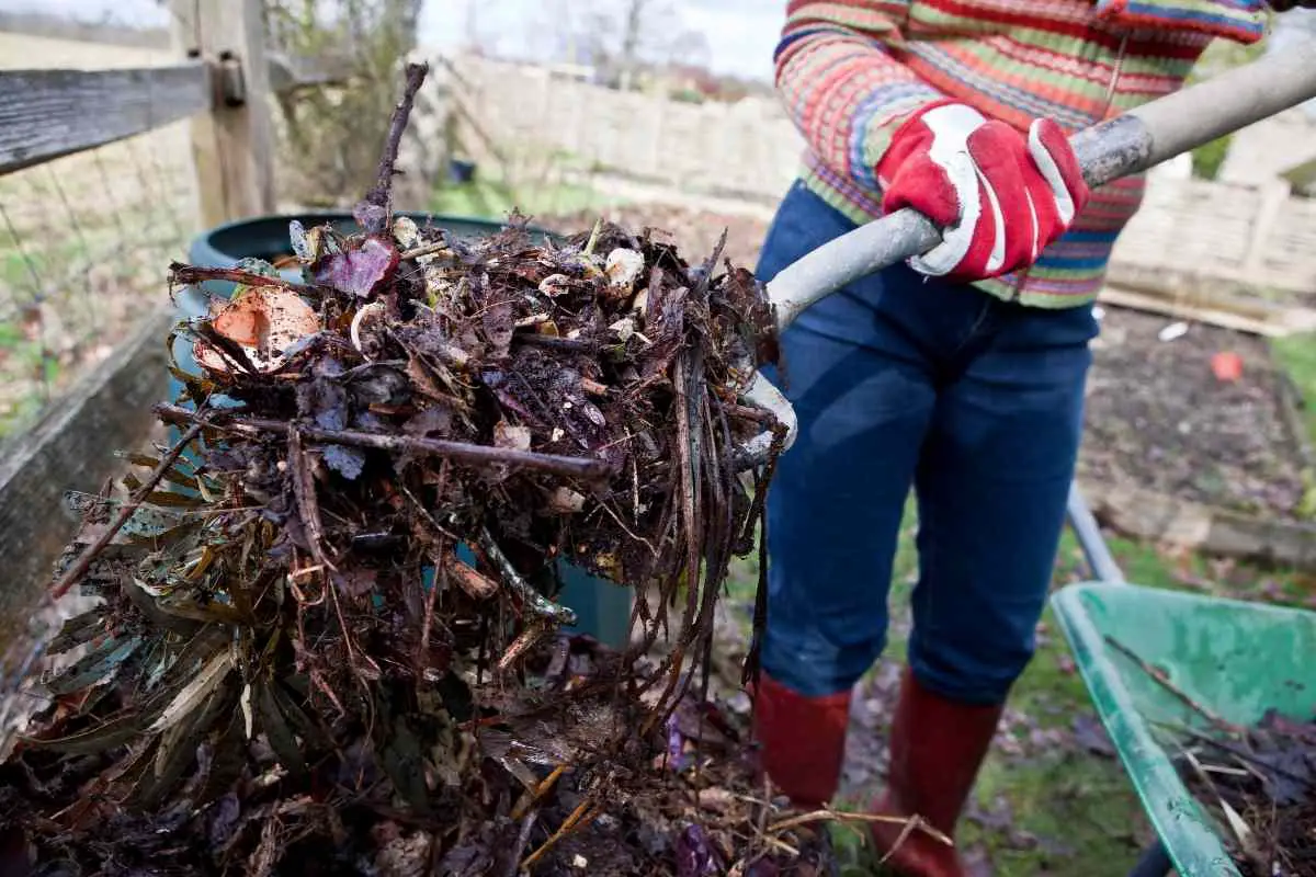 Wie bekomme ich Würmer in meinen Komposthaufen?
