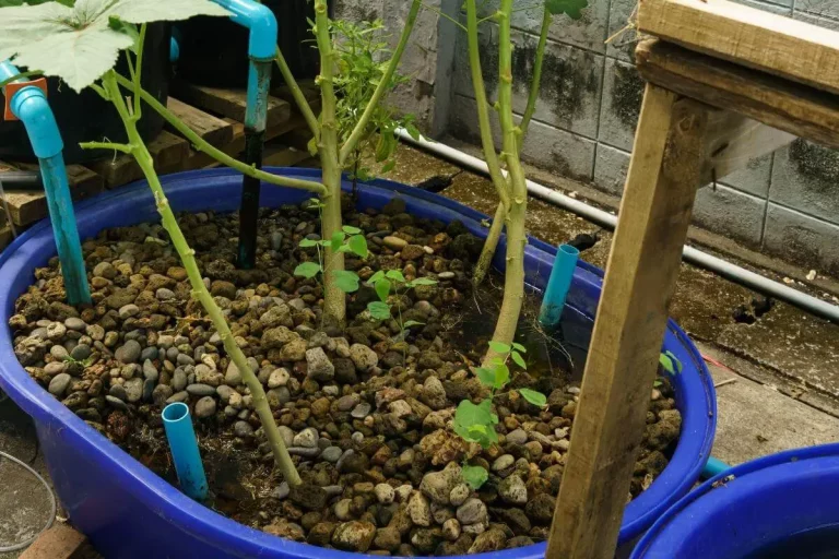 Wie man das Material für Aquaponics-Anzuchtbetten auswählt