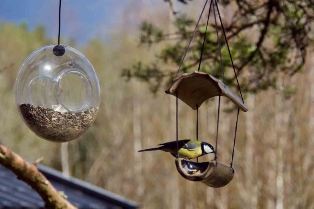 Kann man Gartenvögel überfüttern?