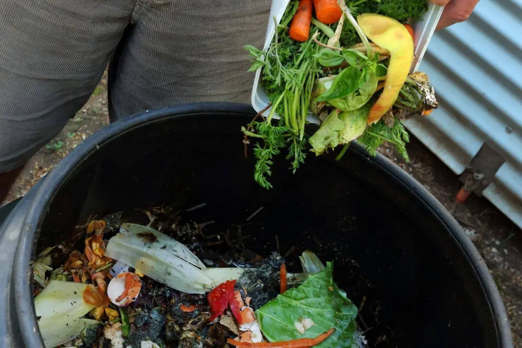 Kann Kompost schlecht werden?