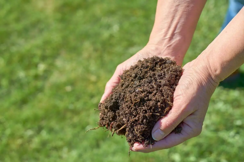 Wie viel Kompost dem Boden beigemischt werden soll
