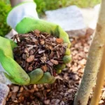 Die Wahl des besten Mulchs für Ihren Garten: Laub oder Holz?
