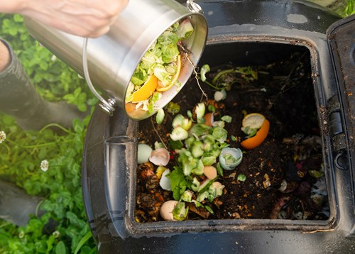 Close Up of Kitchen Counter Compost Bin with Food Scraps