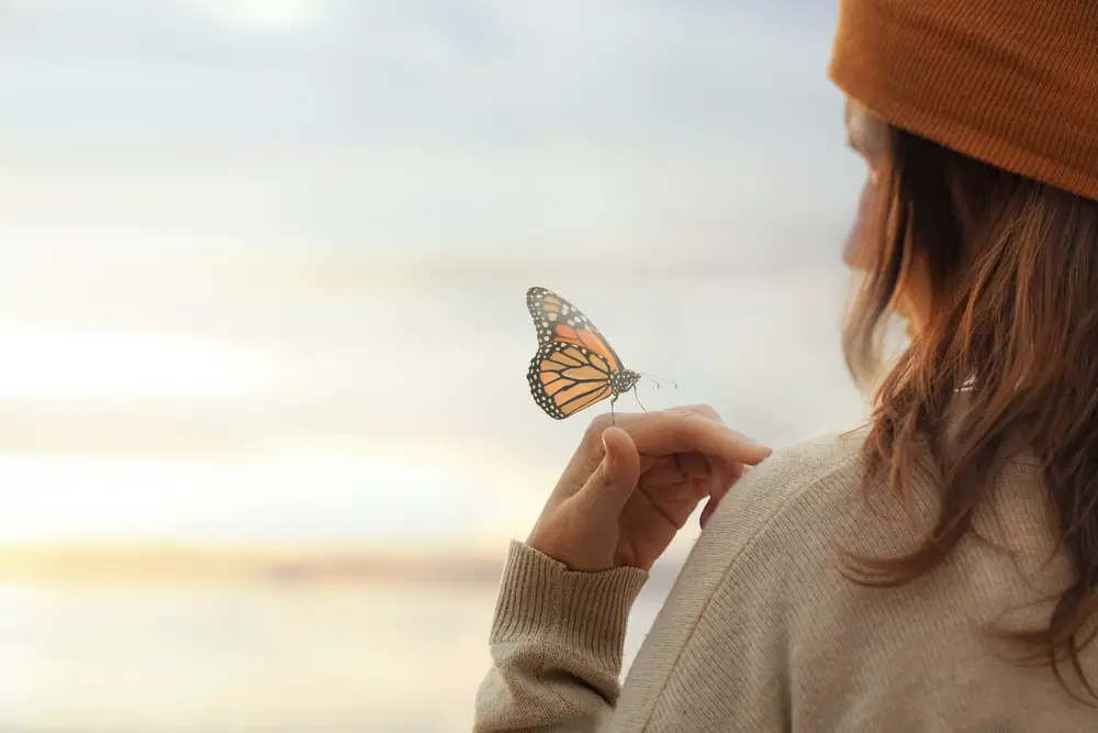 Fünf wichtige Gründe, warum Schmetterlinge wichtig sind