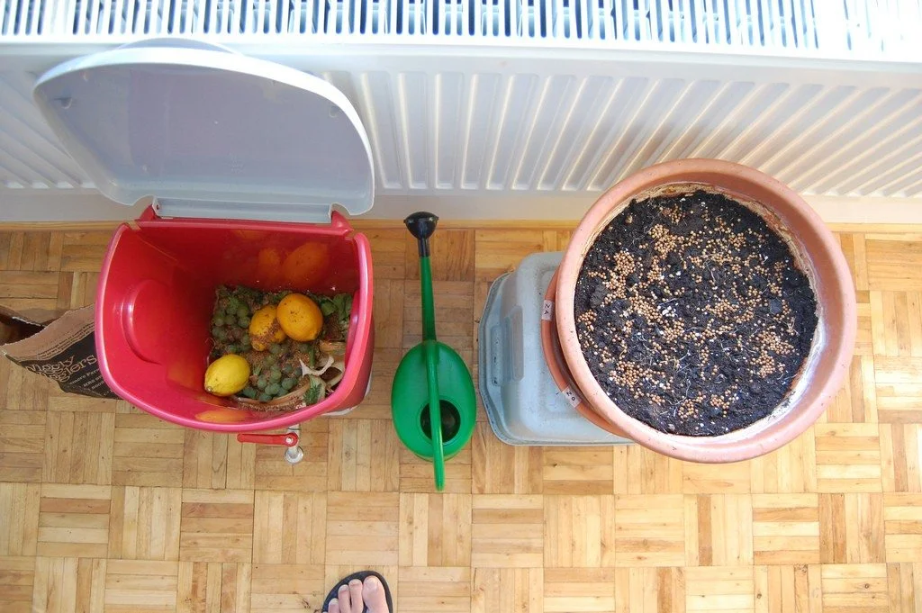 Kompostieren in einer Wohnung