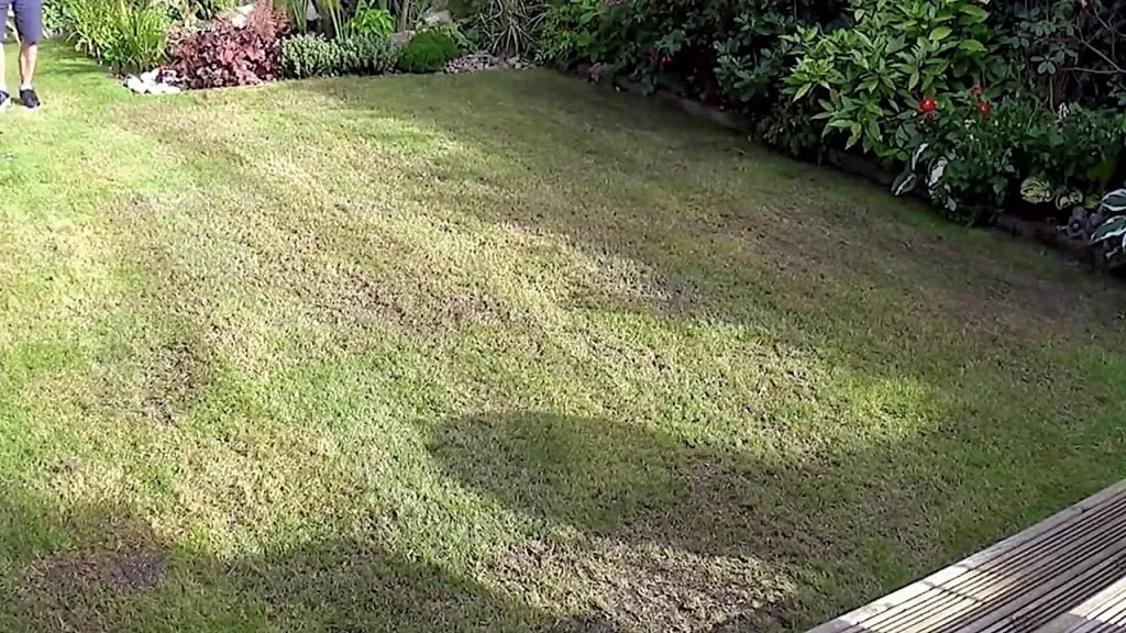A-newly-scarified-lawn-garden-ninja-1024×576
