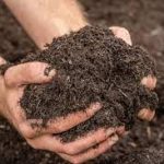 Wiederverwendung von Kompost: 3 schnelle Wege zur Wiederverwendung von Kompost