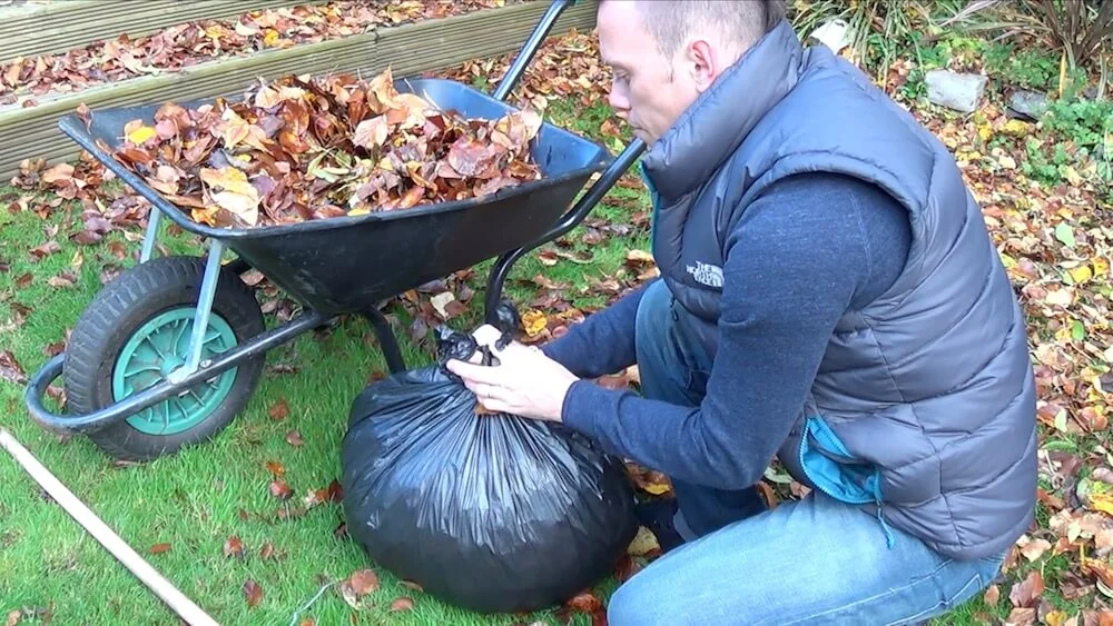 Wie man Blattschimmel herstellt: Recycling von Gartenlaub