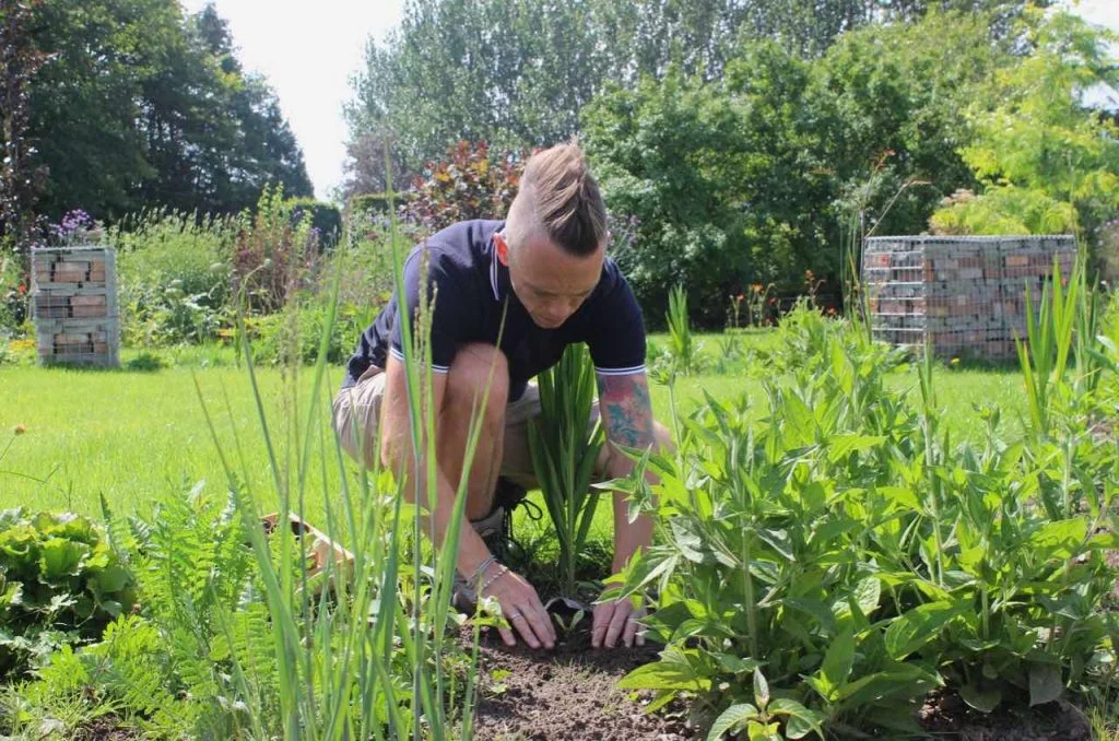 Wie Sie Ihren Garten mulchen: Unkrautbekämpfung und Pflanzennahrung