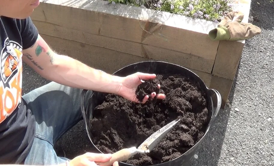 Wie Sie Ihren Garten mulchen: Unkrautbekämpfung und Pflanzennahrung