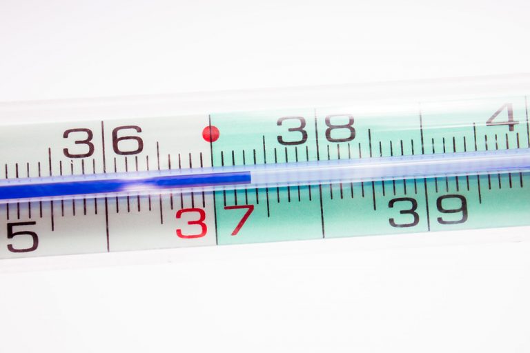Bei welcher Temperatur sterben Unkrautsamen?