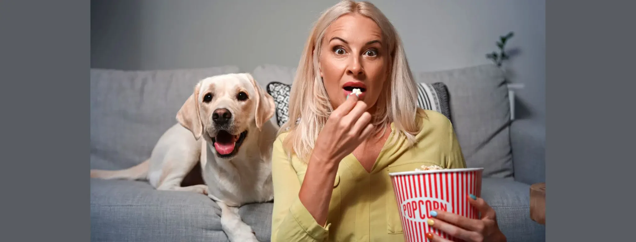 Kann Popcorn Hunde töten?