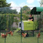 Peter_in_extended_4x3x2_walk_in_run_cube_chickens