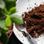 coffee-grounds-royalty-free-image-1692821259