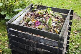Welches Unkraut darf nicht auf den Kompost?