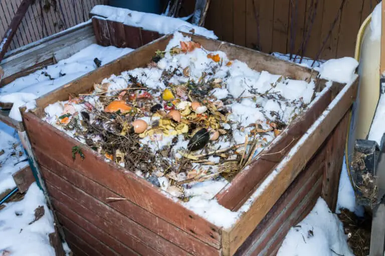 Kompostieren im Winter: Der beste Anleitungsratgeber