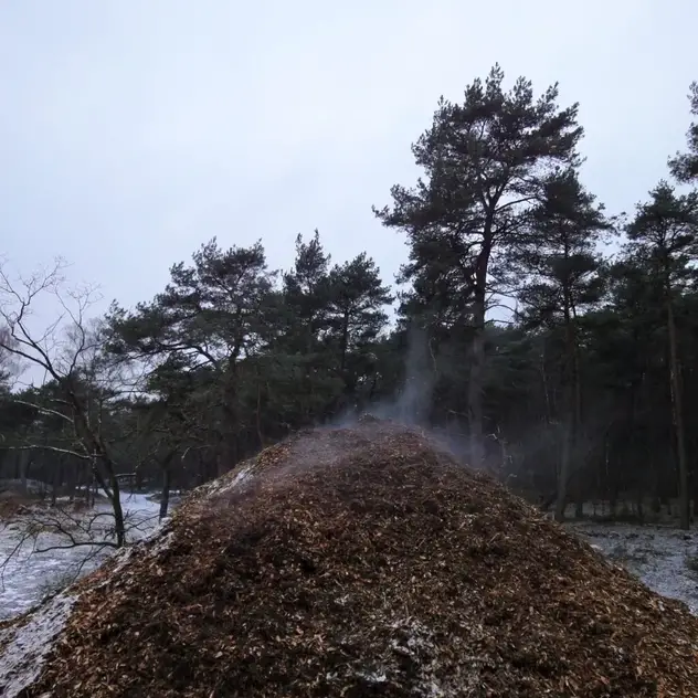 Kompostieren im Winter: Ultimativer Leitfaden für heißen Kompost