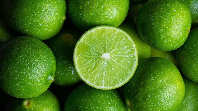 Können Sie Limetten kompostieren?
