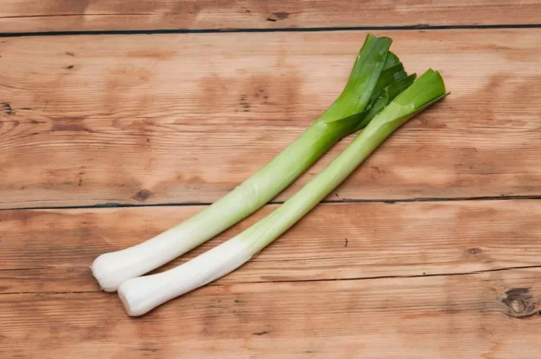 Können Sie Lauch kompostieren?