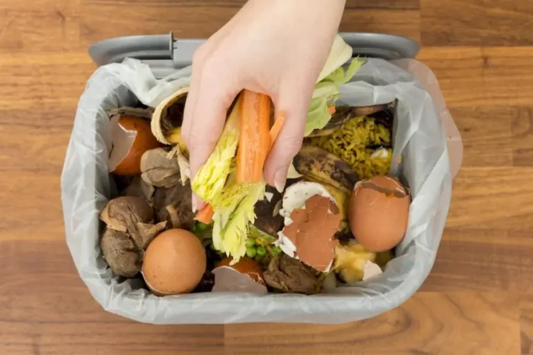 Indoor-Kompostierung: Der beste Anleitungsratgeber