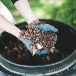 compost-food-waste-1296×728-header