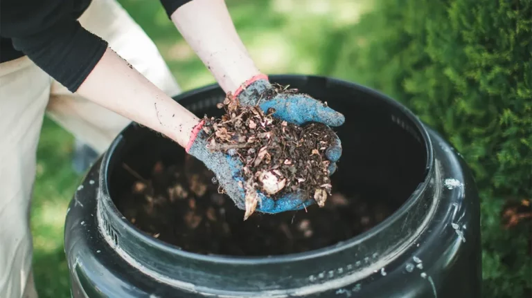 Ist Kompost besser als Muttererde?