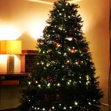 Wer hat den Weihnachtsbaum erfunden?
