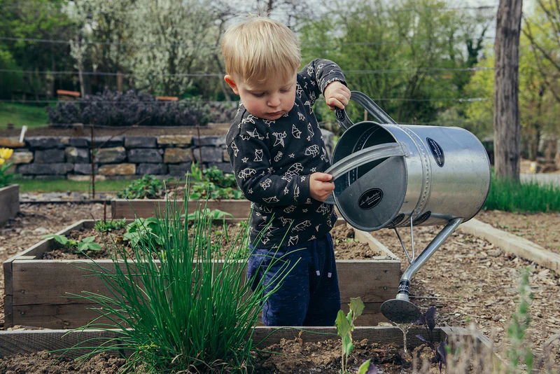 Der kleine Kleingarten: Einfaches Gemüse zum Anbauen mit Ihren Kindern