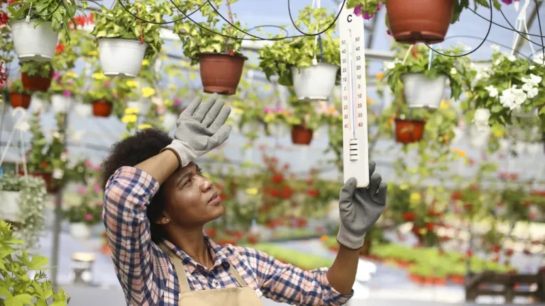 Hitzewelle Gartenarbeit