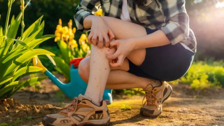 Wie man Mücken im Garten loswird: 9 natürliche Methoden, um sie zum Verschwinden zu bringen!